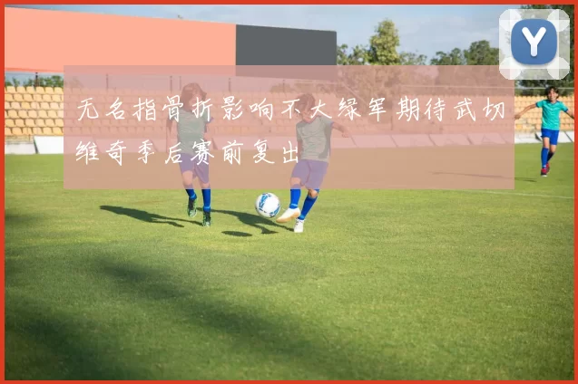 无名指骨折影响不大绿军期待武切维奇季后赛前复出