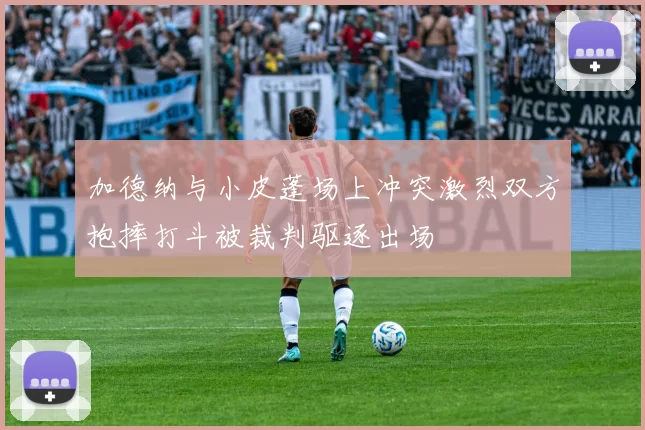 加德纳与小皮蓬场上冲突激烈双方抱摔打斗被裁判驱逐出场