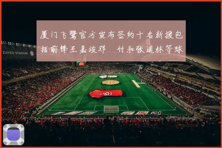 厦门飞鹭官方宣布签约十名新援包括前锋王嘉竣邓棽竹和张道林等球员
