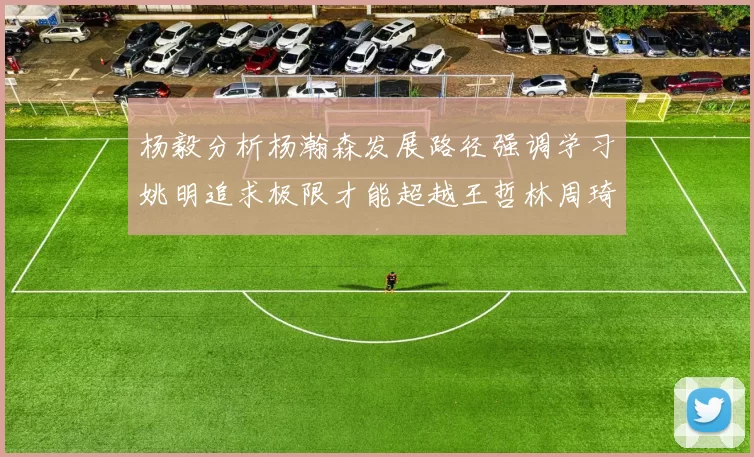 杨毅分析杨瀚森发展路径强调学习姚明追求极限才能超越王哲林周琦状态